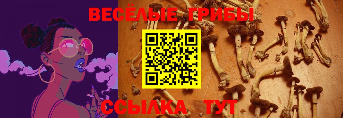 Псилоцибиновые грибы мицелий Семёнов